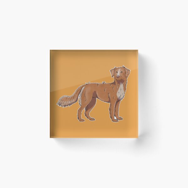Item preview, Nova Scotia Duck Tolling Retriever designed and sold by harmopiavu.