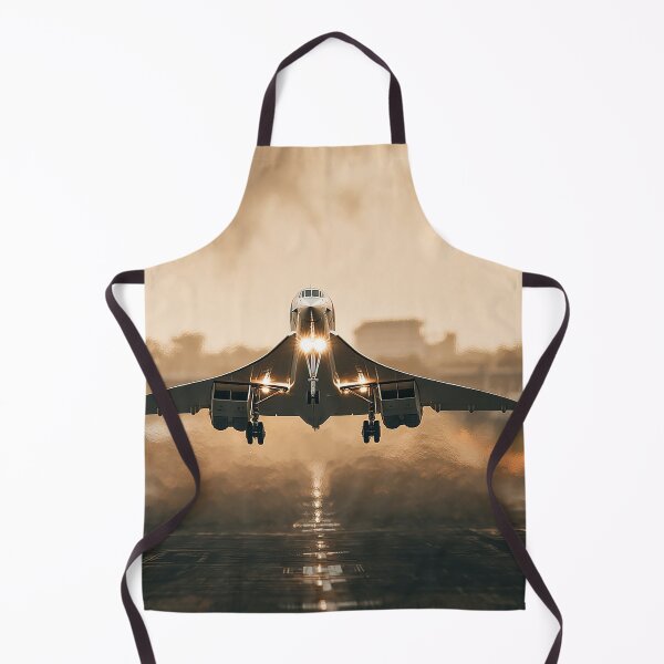 Item preview, Concorde Preparing to Land designed and sold by Skyframe Aviation.