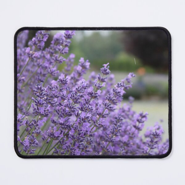 Item preview, Field of Lavender designed and sold by MCTravelPhotos.