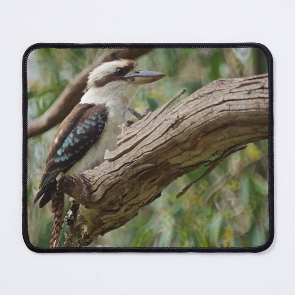 Item preview, Kookaburra in the Old Gum Tree designed and sold by D-GaP.