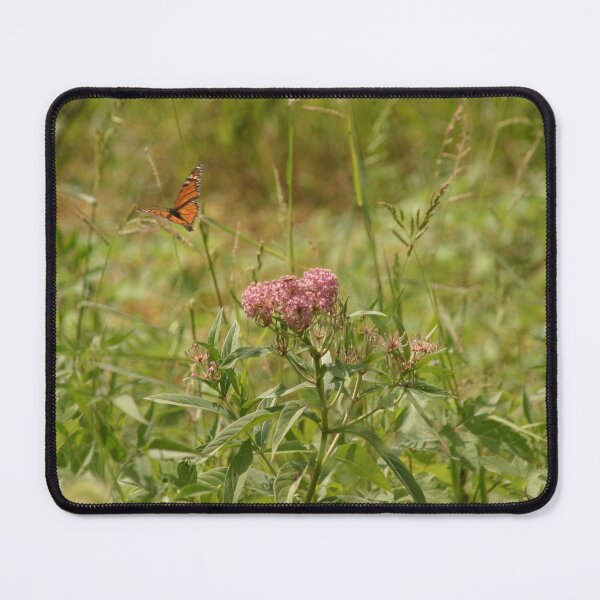 Item preview, milkweed and butterfly designed and sold by JimJaggerty.