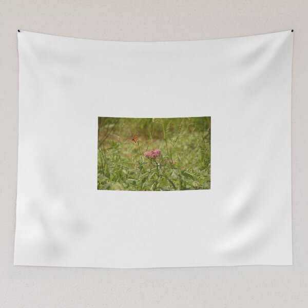 Item preview, milkweed and butterfly designed and sold by JimJaggerty.