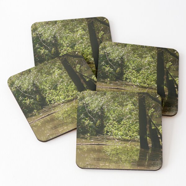 Item preview, Turtle Pond designed and sold by JimJaggerty.