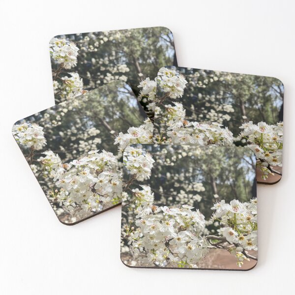 Item preview, Honey Bee Pollinating White Blossoms in Spring Sunlight designed and sold by Be Captured by Brittany Emma.