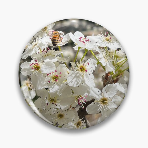 Item preview, Honey Bee Pollinating White Blossoms in Spring Sunlight designed and sold by Be Captured by Brittany Emma.