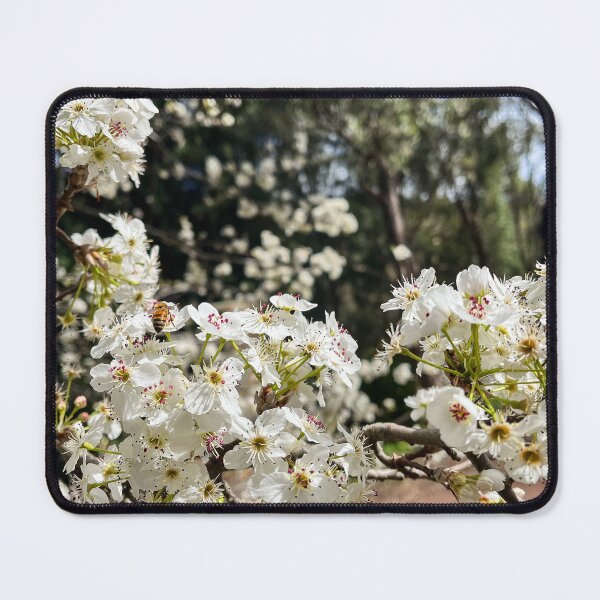 Item preview, Honey Bee Pollinating White Blossoms in Spring Sunlight designed and sold by Be Captured by Brittany Emma.