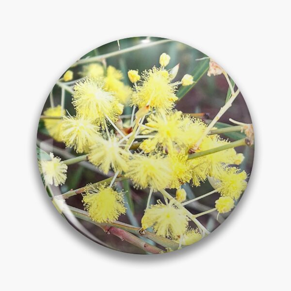 Item preview, Golden Wattle Flowers Blooming in Australian Bushland designed and sold by Be Captured by Brittany Emma.