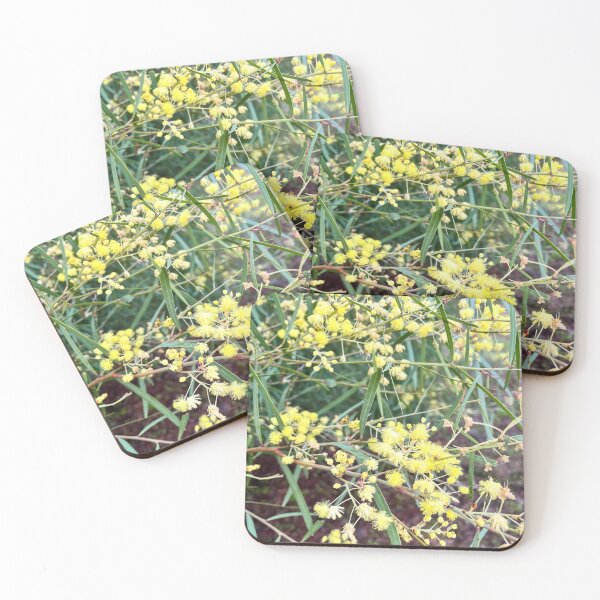 Item preview, Golden Wattle Flowers Blooming in Australian Bushland designed and sold by Be Captured by Brittany Emma.