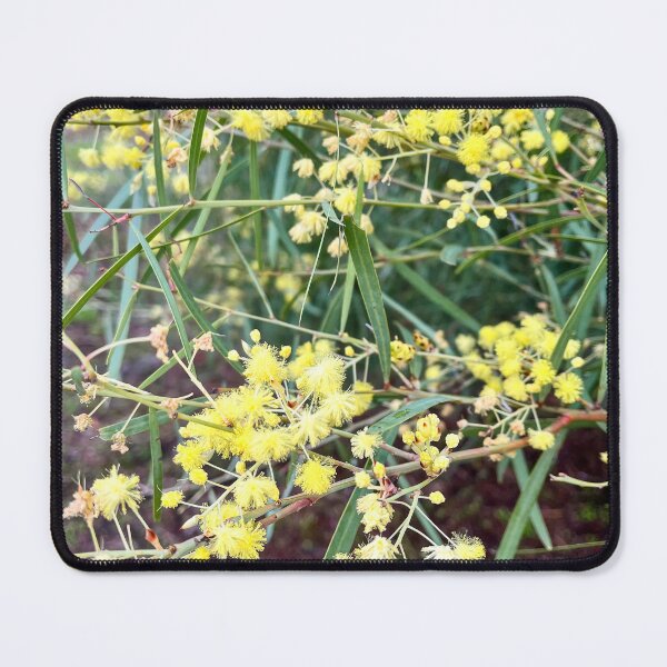 Item preview, Golden Wattle Flowers Blooming in Australian Bushland designed and sold by Be Captured by Brittany Emma.