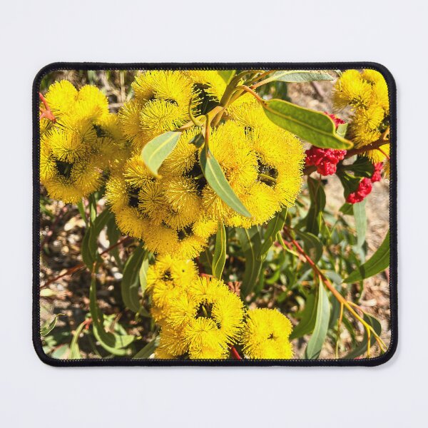 Item preview, Bright Yellow Eucalyptus Blossoms in Sunlit Garden designed and sold by Be Captured by Brittany Emma.