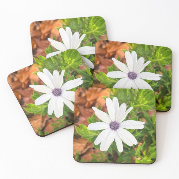 Item preview, White Daisy with Morning Dew Close-Up designed and sold by Be Captured by Brittany Emma.