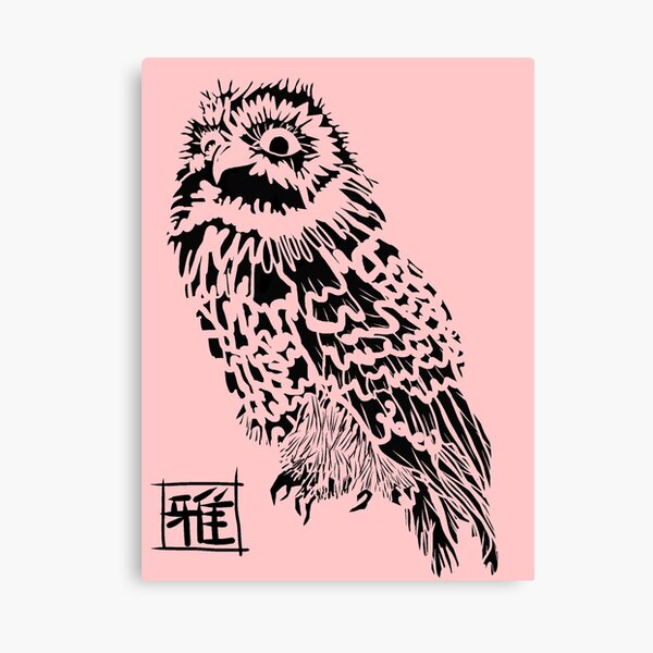 Owl Jones Canvas Print