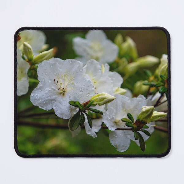 Item preview, Raindrops in April designed and sold by James Hoffman.