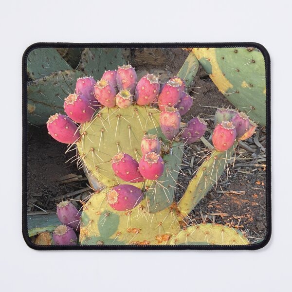 Item preview, Cactus With Fruit designed and sold by pinkyjainpan.