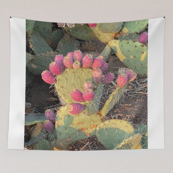 Item preview, Cactus With Fruit designed and sold by pinkyjainpan.