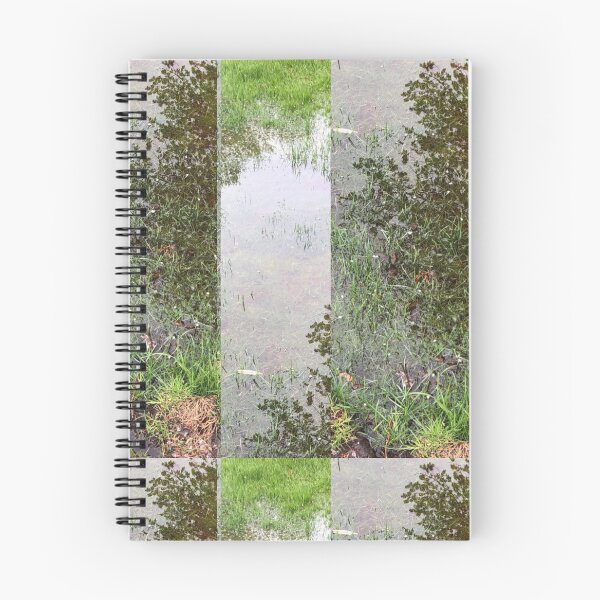 Item preview, Mountain Ferns designed and sold by Randy Kaplan .