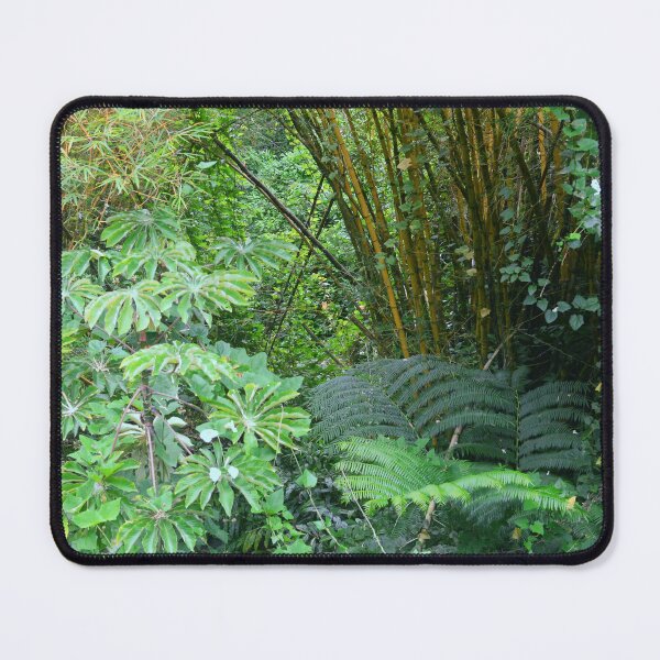 Item preview, Tropical Rainforest Bamboo and Ferns Hawaiian Jungle Adventure designed and sold by DEC02.