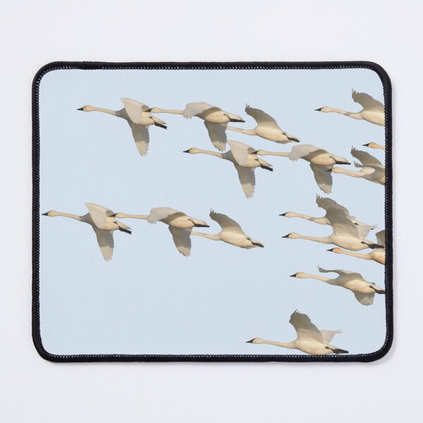 Item preview, Migrating Swans designed and sold by Whisperingpeaks.