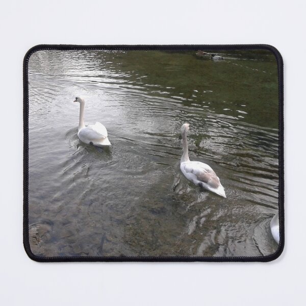 Item preview, One by one - swans designed and sold by DjeriK.