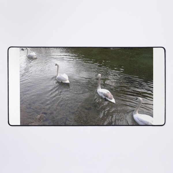 Item preview, One by one - swans designed and sold by DjeriK.