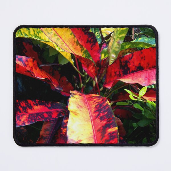 Item preview, Nature's Color pallet designed and sold by RosJoy.