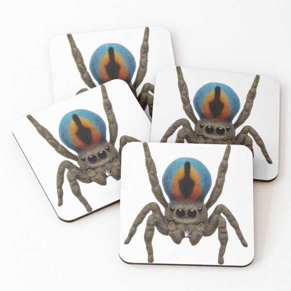 Item preview, Peacock Spider – Ultra-detailed sticker of a colorful Maratus volans designed and sold by BreakingWorse.