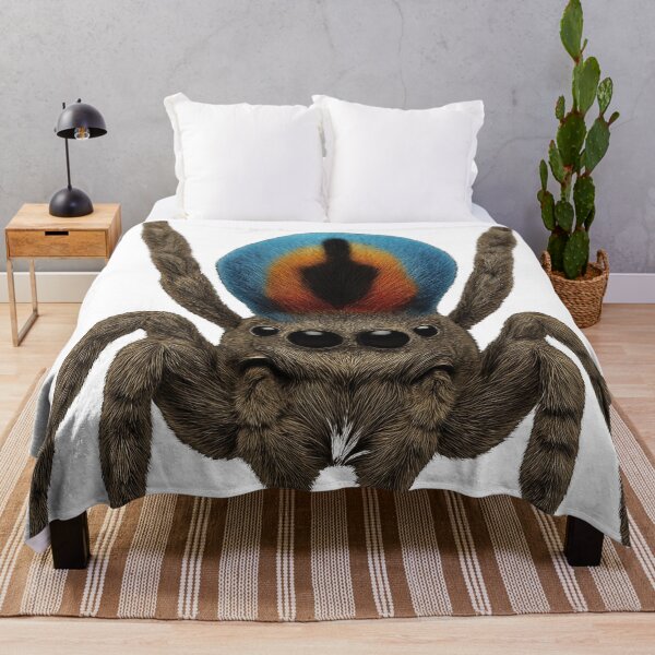 Item preview, Peacock Spider – Ultra-detailed sticker of a colorful Maratus volans designed and sold by BreakingWorse.