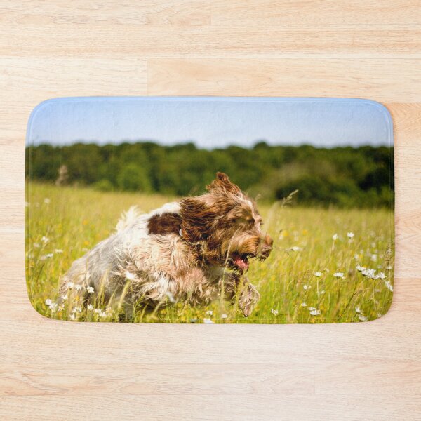Item preview, Racing through the daisies Spinone by heidiannemorris ©️  designed and sold by FOLK ART FUSION by heidiannemorris.