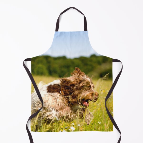 Item preview, Racing through the daisies Spinone by heidiannemorris ©️ designed and sold by FOLK ART FUSION by heidiannemorris.