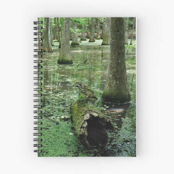Item preview, Lake Chicot designed and sold by Nicholas Blackwell.