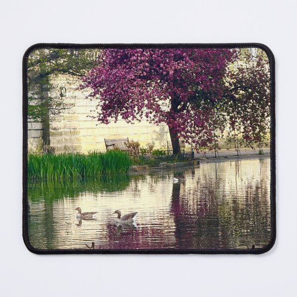 Item preview, Tranquil Spring Scenes in St James’s Park, London designed and sold by The Running London Photographer.