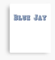 Blue Jay Canvas Print