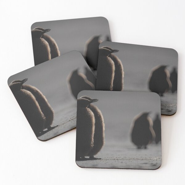 Item preview, Baby Penguins Original Photo | Penguin Gifts designed and sold by DiveDuke.