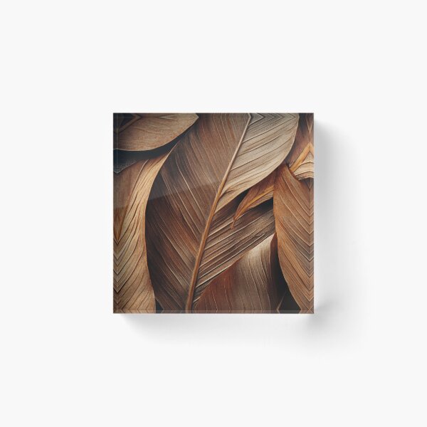 Item preview, Artful display of brown leaves designed and sold by anytka.