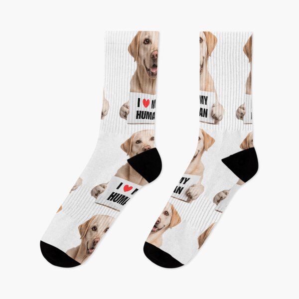 Item preview, Cute Labrador with Signboard I love my Human  designed and sold by LazyOwlStore.