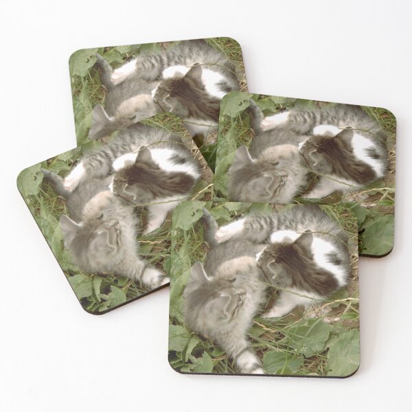 Item preview, Kitten game designed and sold by DjeriK.