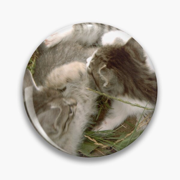 Item preview, Kitten game designed and sold by DjeriK.