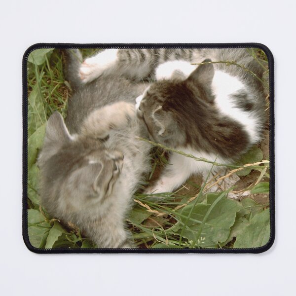 Item preview, Kitten game designed and sold by DjeriK.