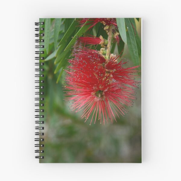 Item preview, BOTTLE BRUSH designed and sold by kazaroodie.