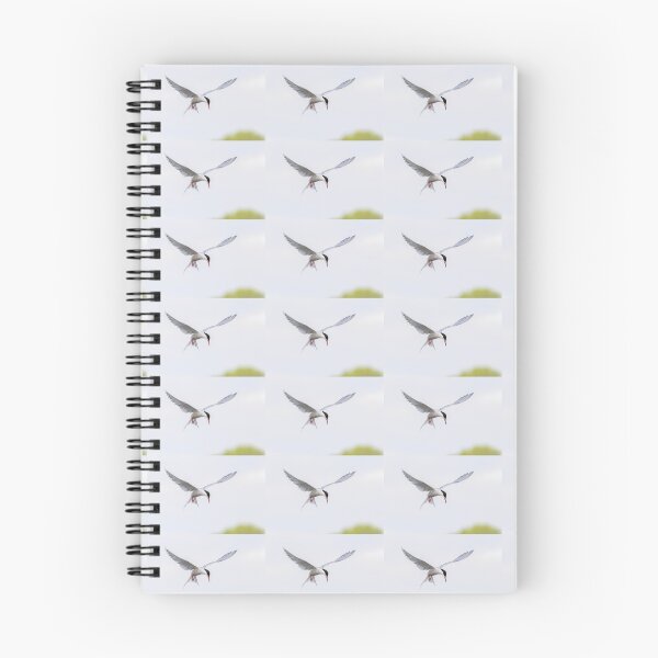 Item preview, Common Tern designed and sold by lyttonimages.