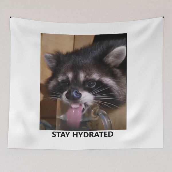 Item preview, stay hydrated raccoon designed and sold by sztuciek.