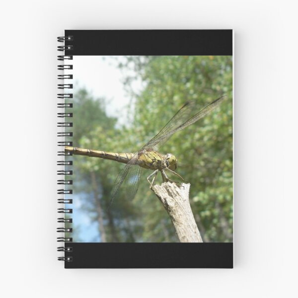 Item preview, Common Darter Dragonfly, Sympetrum striolatum designed and sold by EmilyJaneArt.