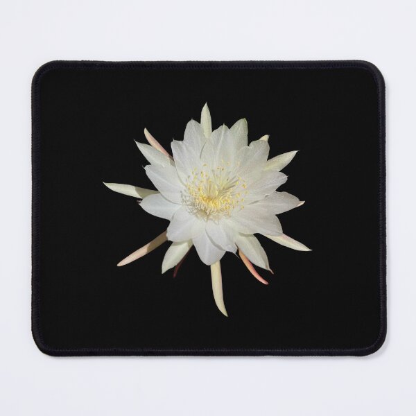 Item preview, Cactus flower designed and sold by Meo Design.