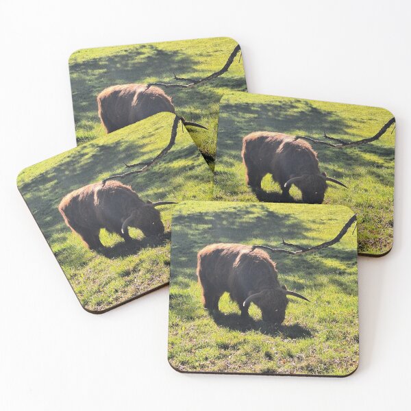 Item preview, Grazing Highland Bull - Photograph designed and sold by GenAumonier.