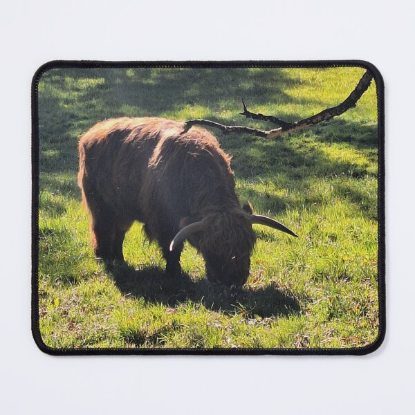 Item preview, Grazing Highland Bull - Photograph designed and sold by GenAumonier.
