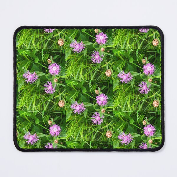 Item preview, Brown Knapweed Photo designed and sold by Sky-99.