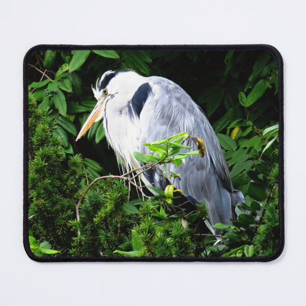 Item preview, Perched Heron - Photograph designed and sold by GenAumonier.