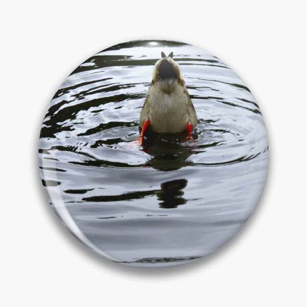 Item preview, Bobbing Duck Ripple - Photograph designed and sold by GenAumonier.
