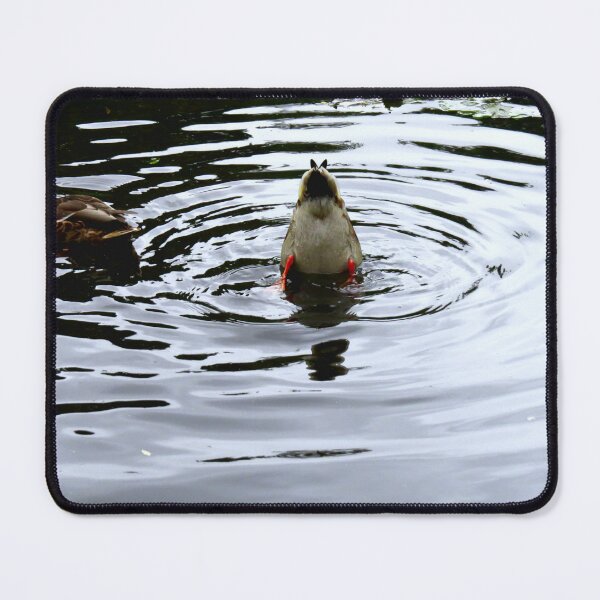 Item preview, Bobbing Duck Ripple - Photograph designed and sold by GenAumonier.