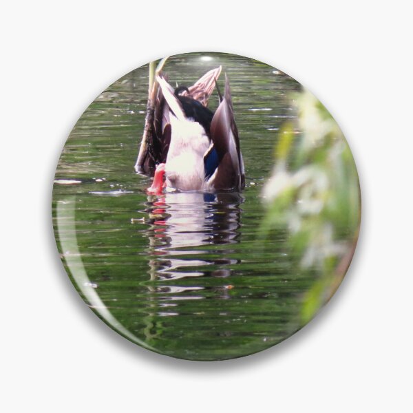 Item preview, Bobbing Duck Willow - Photograph designed and sold by GenAumonier.